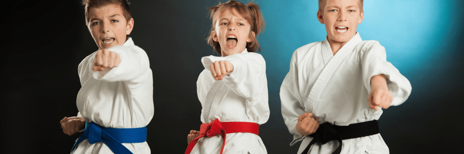 ¿Karate, Ninjutsu o Jiu-Jitsu?
