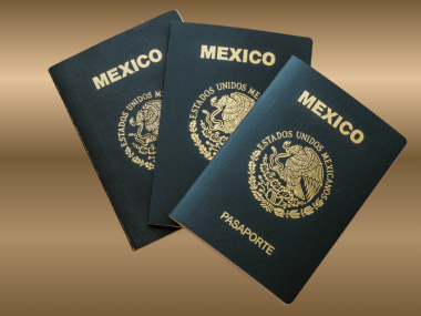 Información específica para ciudadanos mexicanos que realizan el trámite dentro del territorio nacional