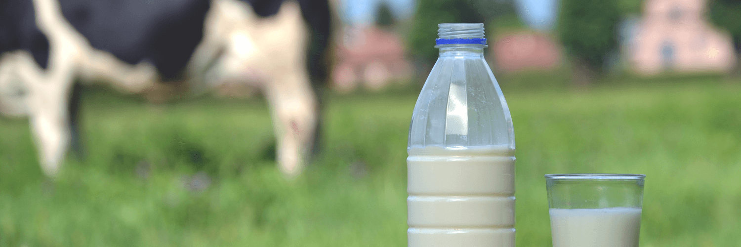 Consecuencias de consumir leche de vaca antes del primer año de vida