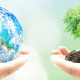 Día Mundial del Medio Ambiente 2026
